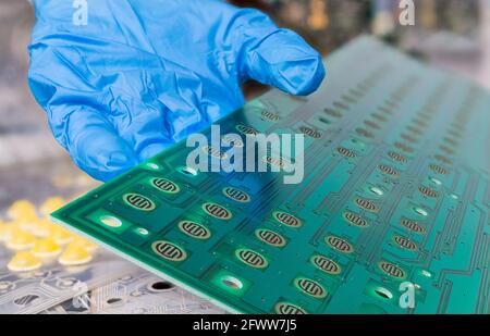 Leiterplatte der zerlegten Computertastatur auf einer menschlichen Hand Detail in blauen Handschuh. Reparaturwerkstätten mit grüner elektronischer Leiterplatte. Trennung von Elektroschrott. Stockfoto