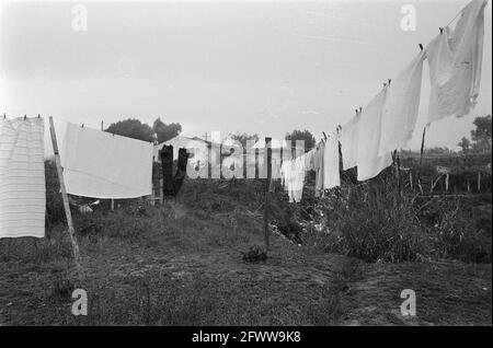 Portugal, Politik, Straßenszenen usw.; Slum in Lissabon, Februar 11, 1975, POLITIK, Wäscheleine, Niederlande, 20. Jahrhundert Presseagentur Foto, Nachrichten zu erinnern, Dokumentarfilm, historische Fotografie 1945-1990, visuelle Geschichten, Menschliche Geschichte des zwanzigsten Jahrhunderts, Momente in der Zeit festzuhalten Stockfoto