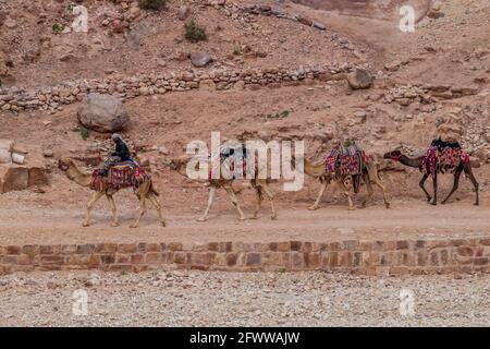 PETRA, JORDANIEN - 23. MÄRZ 2017: Ein Einheimischer reitet auf einer Kamelkarawane in der antiken Stadt Petra, Jordanien Stockfoto