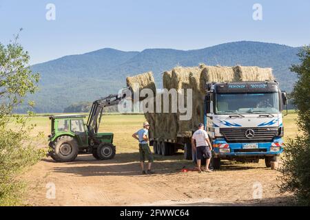 Verladung von Heuballen auf LKW, Cerknica, Slowenien Stockfoto