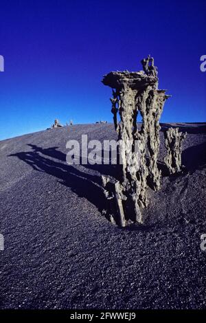 Sandtufas bei Sonnenaufgang in Mono Lake; Kalifornien; USA. Stockfoto