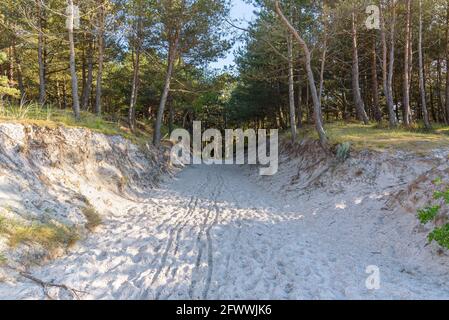 Sandiger Weg zum Strand durch die Dünen an der Ostsee Meer Stockfoto