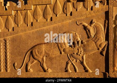 Reliefskulptur der Subjektmenschen des achämenischen Reiches im Apadana Palast, Persepolis, Iran. Stockfoto