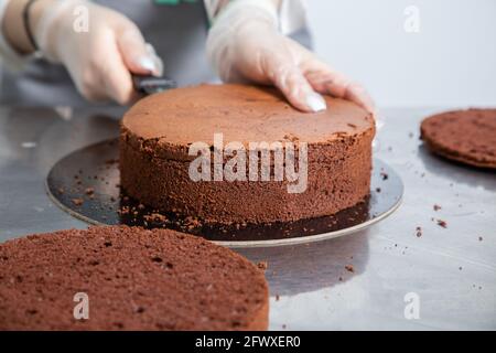 Womans übergibt dem Koch das Schneiden von Schokoladenkuchenschichten und das Stapeln auf einem Metalltisch. Schokoladenkuchen. Serie. Stockfoto