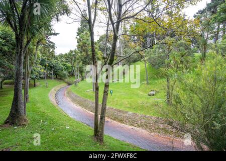 Nationalpark Enrique Olaya Herrera, Bogota, Kolumbien Stockfoto