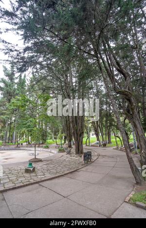 Nationalpark Enrique Olaya Herrera, Bogota, Kolumbien Stockfoto