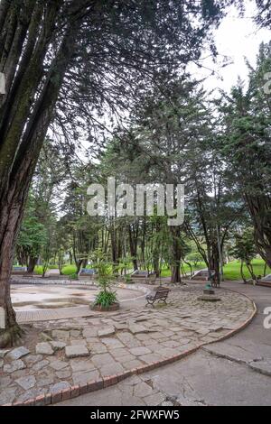 Nationalpark Enrique Olaya Herrera, Bogota, Kolumbien Stockfoto