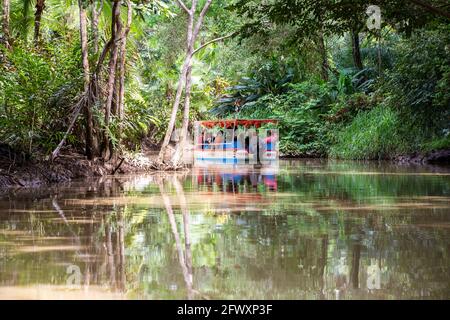 Quespos, Costa Rica - 20. April 2021: Unbekannte Touristen fotografieren Tiere während einer Bootstour im Mangrovenwald und den Wasserkanälen i der Insel Damas Stockfoto