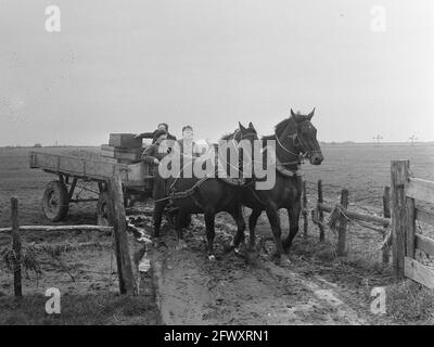 Watersnood herstel Rozenburg, 23. Februar 1953, Niederlande, Presseagentur des 20. Jahrhunderts, Foto, zu erinnerende Nachrichten, Dokumentarfilm, historische Fotografie Stockfoto