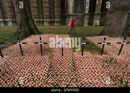 Chris McVeigh, ein Arbeiter in der Poppy Factory, legt etwa 100,000 Kreuze aus, die jährlich das Feld der Erinnerung in der Westminster Abbey bilden. Der Po Stockfoto