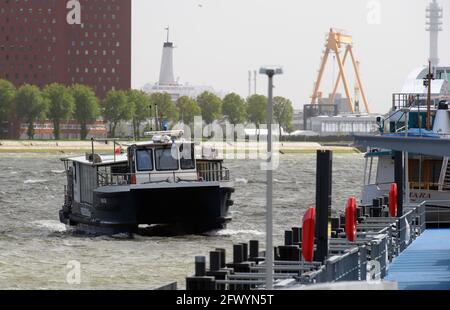 Rotterdam, Niederlande. Mai 2021. Ein Wasserbus fährt auf den Maas. Quelle: Soeren Stache/dpa-Zentralbild/dpa/Alamy Live News Stockfoto