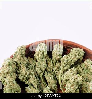 Cannabisknospen in brauner Tonschale, flacher Lat, Draufsicht. Marihuana Blumen auf weißem Hintergrund. Hanf Erholung, Canna Küche, Legalisierungskonzept. Stockfoto