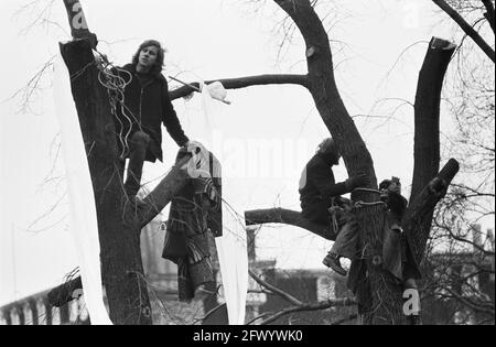 Baumschlag vor CS in Amsterdam durch Mitglieder der Aktionsgruppe Nieuwmarktbuurt verhindert; Demonstranten in den Bäumen vor der CS, 9. Dezember 1974, BOMBEN, Aktionsgruppen, Demonstranten, Niederlande, Presseagentur des 20. Jahrhunderts, Foto, Nachrichten zu erinnern, Dokumentarfilm, historische Fotografie 1945-1990, visuelle Geschichten, Menschliche Geschichte des zwanzigsten Jahrhunderts, Momente in der Zeit festzuhalten Stockfoto