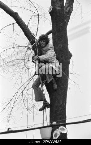 Baumschlag vor CS in Amsterdam durch Mitglieder der Aktionsgruppe Nieuwmarktbuurt verhindert; Demonstranten in den Bäumen vor der CS, 9. Dezember 1974, BOMBEN, Aktionsgruppen, Demonstranten, Niederlande, Presseagentur des 20. Jahrhunderts, Foto, Nachrichten zu erinnern, Dokumentarfilm, historische Fotografie 1945-1990, visuelle Geschichten, Menschliche Geschichte des zwanzigsten Jahrhunderts, Momente in der Zeit festzuhalten Stockfoto