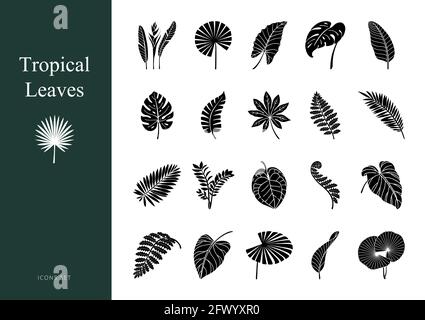 Set aus exotischen tropischen Blättern. Glyphen-Symbole Stock Vektor