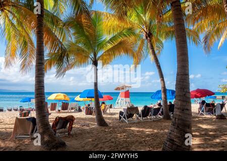 Palmen am tropischen Strand in der Karibik, Montego Bay, Jamaika Stockfoto