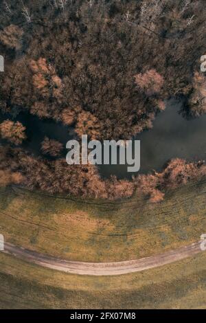 Luftaufnahme der kurvenreichen Straße und sumpfigen Fluss Oxbow Landschaft, Draufsicht von Drohne pov. Fluss Tisza (Tisa) in der Vojvodina, Serbien. Stockfoto