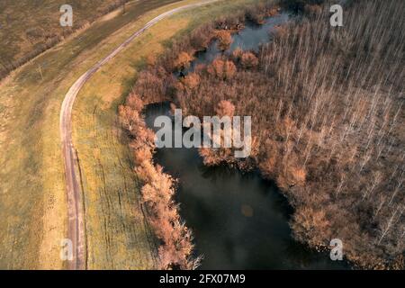 Luftaufnahme des Flusses Tisza Oxbow Mäander und alte kurvenreiche Straße von Drohne pov. Sumpfige Landschaft in der Vojvodina, Serbien. Stockfoto