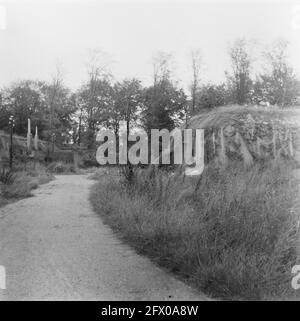 [Series Landmines cleared at Hook of Holland], August 1945, Erholung, zweiter Weltkrieg, Niederlande, 20. Jahrhundert Presseagentur Foto, Nachrichten zu erinnern, Dokumentarfilm, historische Fotografie 1945-1990, visuelle Geschichten, Menschliche Geschichte des zwanzigsten Jahrhunderts, Momente in der Zeit festzuhalten Stockfoto