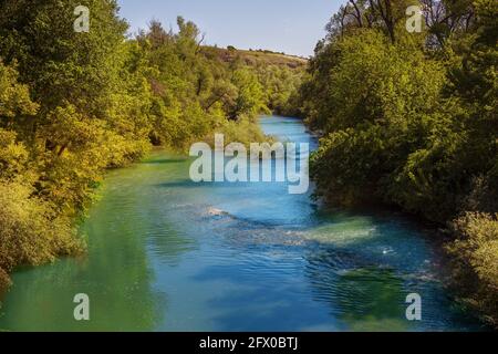 Fluss Osam, Lovech in der Nähe der Devetashka-Höhle, Bulgarien im Frühjahr Stockfoto