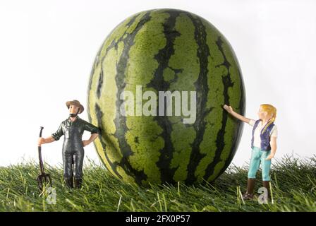 Miniaturfiguren auf einem Bauernhof. Ein Mädchen, das Pferd, ein Mann und eine Frau in der Nähe des Traktors, jemand, der die Kühe füttert, das Bauernhaus im Hintergrund. Stockfoto