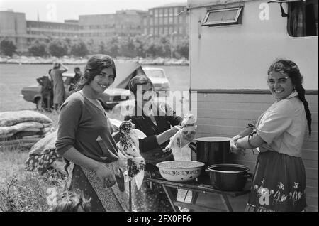 Zigeuner stehen immer noch in Den Haag, Zigeunerfrauen bereiten das Essen zu, 8. Juli 1981, ZIGEUNERS, Niederlande, 20. Jahrhundert Presseagentur Foto, Nachrichten zu erinnern, Dokumentarfilm, historische Fotografie 1945-1990, visuelle Geschichten, Menschliche Geschichte des zwanzigsten Jahrhunderts, Momente in der Zeit festzuhalten Stockfoto