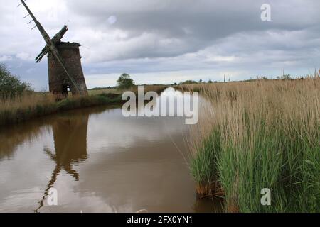 Die Landschaft der alten Ziegelwindmühle Pumpe Holz Segel reflektieren Im Flusswasser von Norfolk Broads bei Horsey East Anglia England großbritannien am Schilfufer Frühling Stockfoto