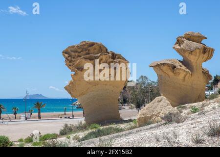 Blick auf kapriziöse Formen, die durch Erosion im Wald am Strand von Bolnuevo, Mazarrón, Murcia, Spanien entstehen Stockfoto