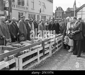 Königlicher Besuch in Leiden. Königin Juliana auf dem Schafmarkt, 21. Mai 1954, Besuche, Damen, königshaus, Schafe, Niederlande, Presseagentur des 20. Jahrhunderts, Foto, Nachrichten zu erinnern, Dokumentarfilm, historische Fotografie 1945-1990, visuelle Geschichten, Menschliche Geschichte des zwanzigsten Jahrhunderts, Momente in der Zeit festzuhalten Stockfoto