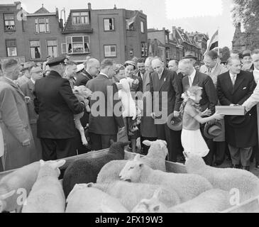 Königlicher Besuch in Leiden. Königin Juliana auf dem Schafmarkt, 21. Mai 1954, Besuche, Damen, königshaus, Schafe, Niederlande, Presseagentur des 20. Jahrhunderts, Foto, Nachrichten zu erinnern, Dokumentarfilm, historische Fotografie 1945-1990, visuelle Geschichten, Menschliche Geschichte des zwanzigsten Jahrhunderts, Momente in der Zeit festzuhalten Stockfoto