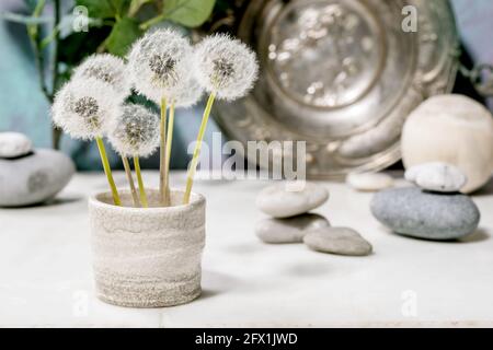Stillleben mit blühenden flauschigen Dandelions-Blüten in handgefertigter Keramik Topf mit glatten Steinen und Metallplatte über weißem Marmor Tabelle Stockfoto