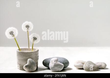Stillleben mit blühenden flauschigen Dandelions-Blüten in handgefertigter Keramik Topf mit glatten Steinen auf weißem Marmor Hintergrund Leichtigkeit Reinheit Konzept Stockfoto