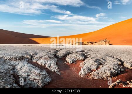 Deadvlei, Namib-Naukluft National Park, Namibia, Afrika. Getrockneter Boden mit Sand in der Namib Wüste bei Sonnenuntergang. Landschaftsfotografie Stockfoto