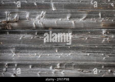 Natürlich gealterte Holzeichenplanken Hintergrund. Natürliche Textur. Kann wie ein Naturhintergrund verwendet werden Stockfoto