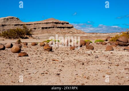 Stein Kugeln - Ischigualasto Provincial Park - Argentinien Stockfoto