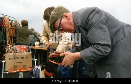 Whippet Racing im Andover Whippet Racing Club 1980 Stockfoto