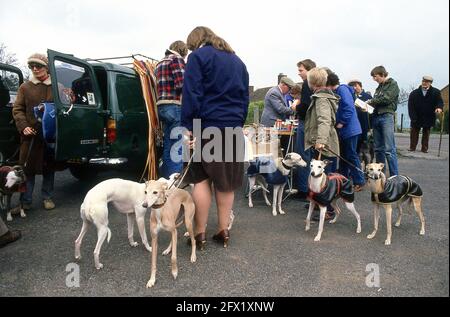 Whippet Racing im Andover Whippet Racing Club 1980 Stockfoto