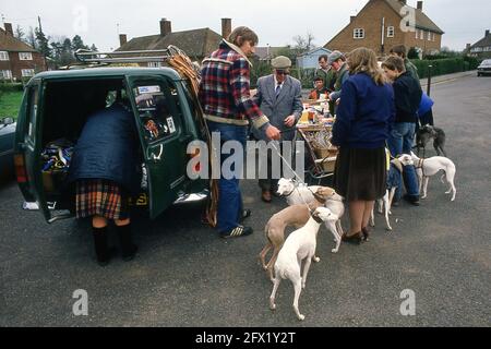 Whippet Racing im Andover Whippet Racing Club 1980 Stockfoto