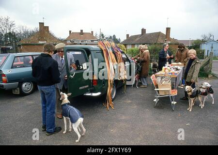 Whippet Racing im Andover Whippet Racing Club 1980 Stockfoto