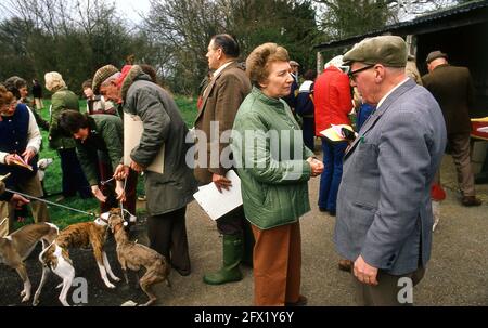 Whippet Racing im Andover Whippet Racing Club 1980 Stockfoto