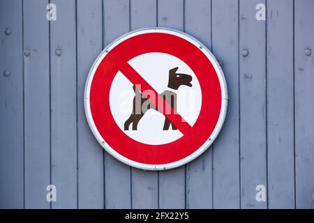 Keine Hunde erlaubt Schild an einer Wand Stockfoto