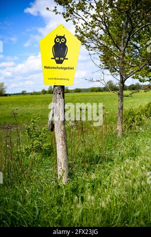 19. Mai 2021, Brandenburg, Rühstädt: Ein Schild auf einer Wiese im Storchdorf Rühstädt im Prignitz-Gebiet der UNESCO-Biosphärenreservat Elbe-Brandenburg weist auf das Naturschutzgebiet hin. Als eine der größten Storchenkolonien Mitteleuropas trägt Rühstädt den Titel „Europäisches Storchendorf“. Foto: Jens Kalaene/dpa-Zentralbild/ZB Stockfoto