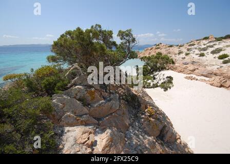 Spargi, Cala d'a Rena bianca o Cala Soraya, Arcipelago di La Maddalena, Sardegna Stockfoto