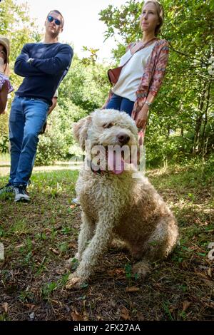 Touristen auf einer geführten Trüffeljagd. Bild mit dem Führer und seinen zwei Wasserhunden, die trainiert sind, Trüffel zu schnüffeln. Stockfoto