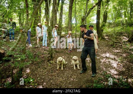 Touristen auf einer geführten Trüffeljagd. Bild mit dem Führer und seinen zwei Wasserhunden, die trainiert sind, Trüffel zu schnüffeln. Stockfoto