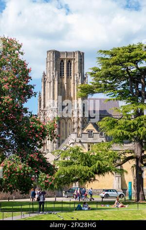 Im Sommer steht eine der Wells Kathedralen. Stockfoto