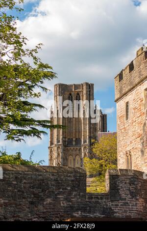 Im Sommer steht eine der Wells Kathedralen. Stockfoto