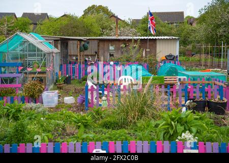 Zuteilung, Gemüse, Pflaster, Komposthaufen, Kohlpflaster, Planung, Layout, organische Ziele, Pflanzen, die Sie anbauen, Ernte, Bio-Gartenarbeit, Brassiken. Stockfoto