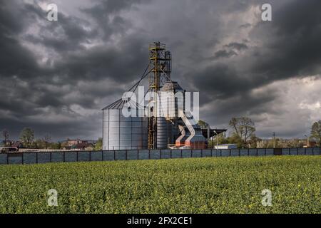 Moderner Granary-Aufzug. Silos in der Agroindustrie und Produktionsanlage für die Verarbeitung von Trocknung Reinigung und Lagerung von landwirtschaftlichen Produkten, Stockfoto