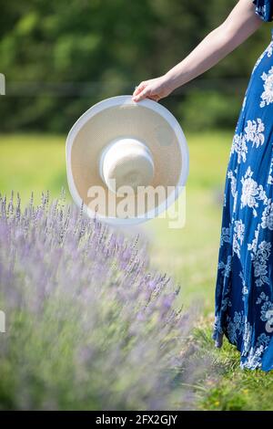 Eine kaukasische Frau mit silbernen Ringen hält einen schlampigen Sonnenhut und geht in einem Lavendelfeld. Blühende Wiese, Landschaft Landschaft Bokeh Backgrou Stockfoto